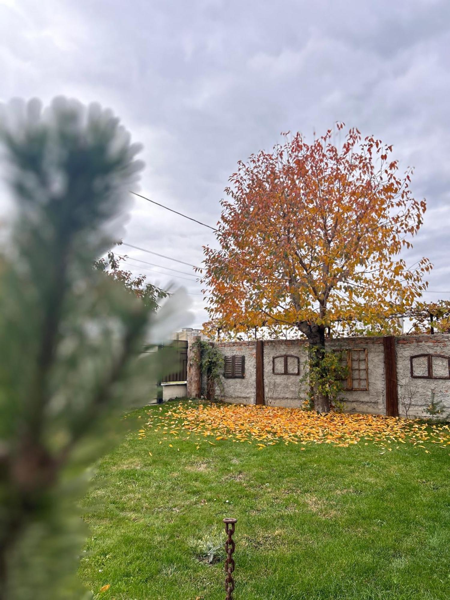 Like Home Râşnov Exterior photo
